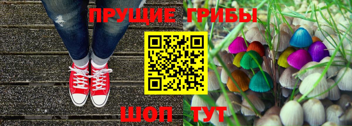 Псилоцибиновые грибы прущие грибы Ухта